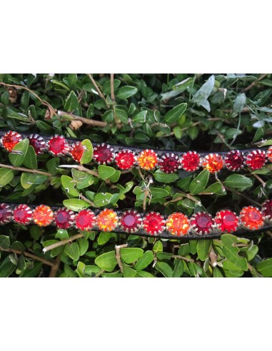 Frontal Mighty Mix Montar