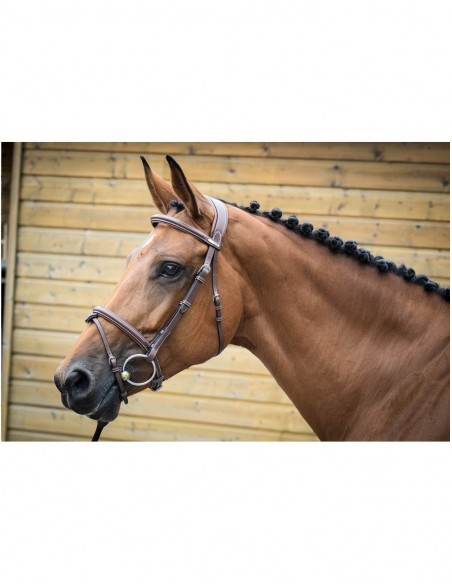 Bridon LONDON ONE Jump 'in