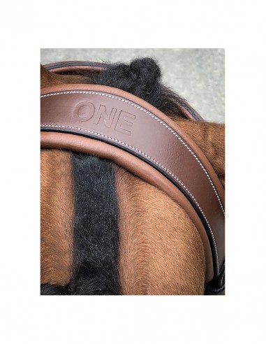 Bridon LONDON ONE Jump 'in