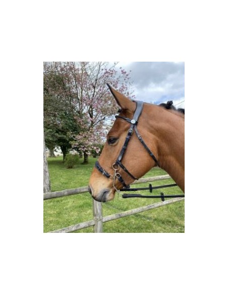 Bridon Hackamore WEEK Jump 'in