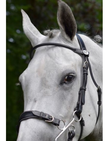 Bridon Hackamore WEEK Jump 'in