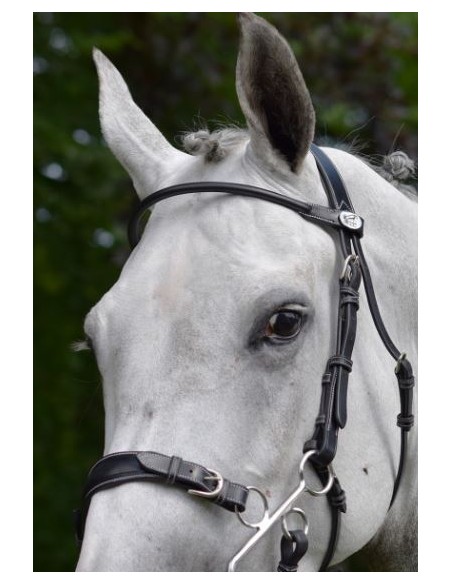 Bridon Hackamore WEEK Jump 'in