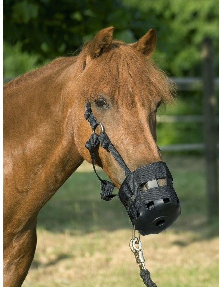 Panier anti-colique USG