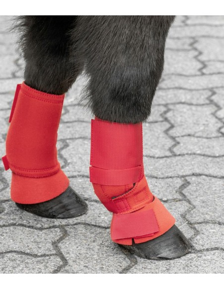 Cloches shetland USG