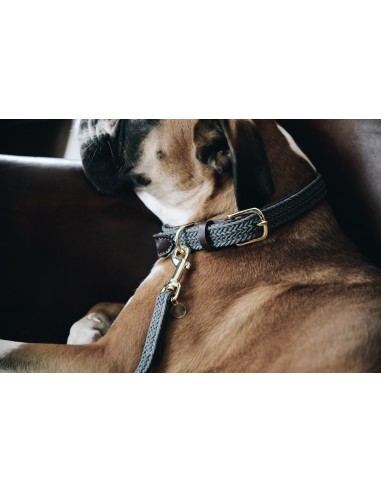 Collier pour chien TRESSE Kentucky | Sellerie Sylvie Equitation