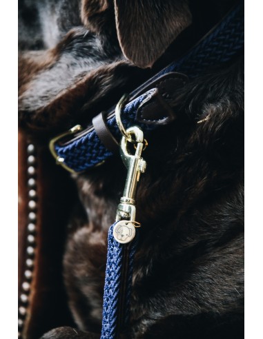 Laisse pour chien nylon TRESSE Kentucky