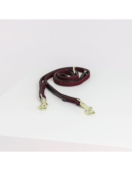 Laisse pour chien nylon TRESSE Kentucky