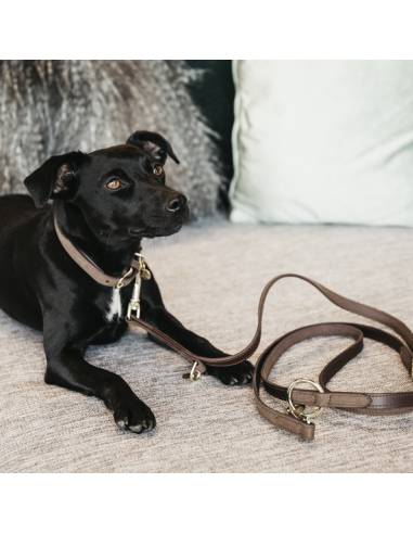 Collier pour chien VELVET LEATHER Kentucky