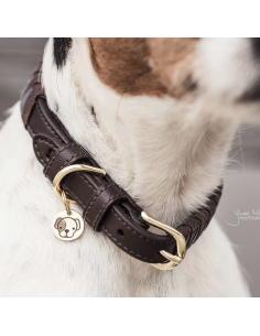 Collier pour chien TRIANGLE Kentucky 2
