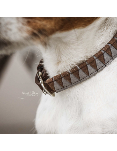 Collier pour chien TRIANGLE Kentucky