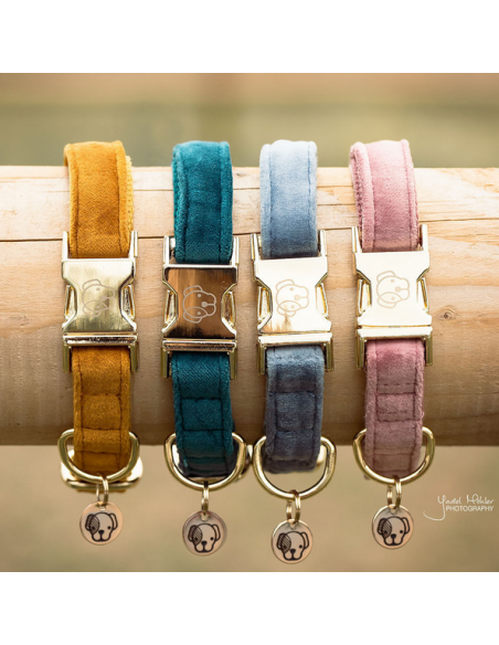 Collier pour chien VELVET Kentucky