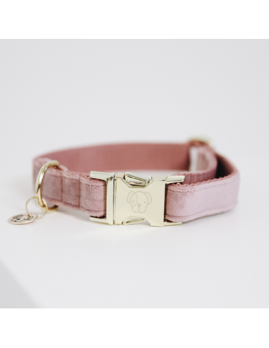 Collier pour chien VELVET Kentucky