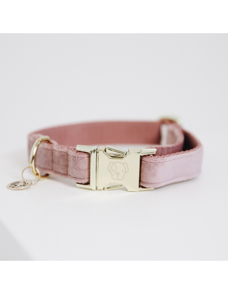 Collier pour chien VELVET Kentucky