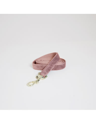 Laisse pour chien VELVET Kentucky