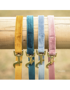 Laisse pour chien VELVET Kentucky