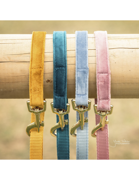 Laisse pour chien VELVET Kentucky