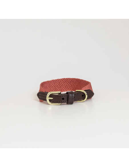 Collier pour chien JACQUARD Kentucky