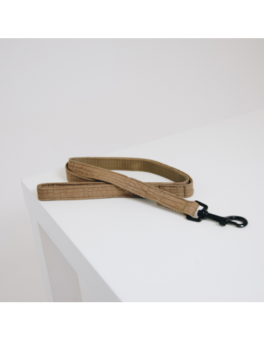 Laisse pour chien LEZARD Kentucky