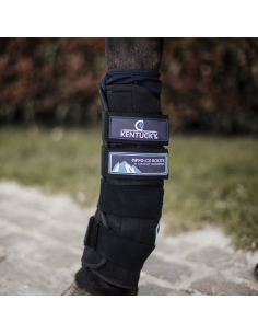 Guêtres CRYO ICE lot de 2 Kentucky