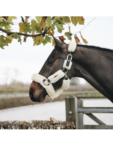 Licol mouton Kentucky | Sellerie Sylvie Equitation