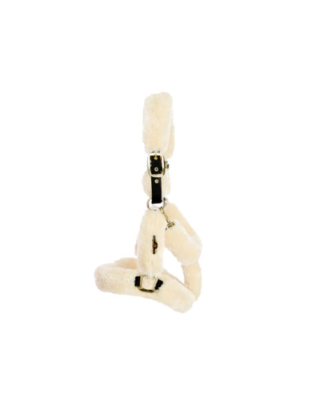 Licol mouton Kentucky | Sellerie Sylvie Equitation