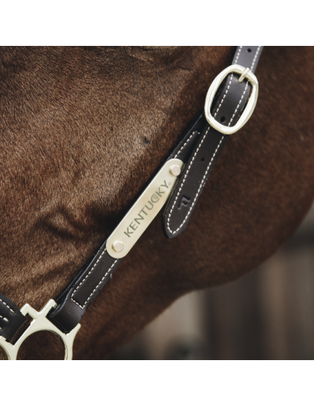 Plaque pour licol Kentucky