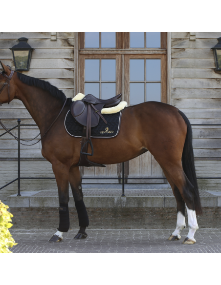 Tapis de selle JUMPING Kentucky