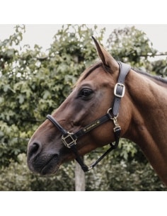 Licol anatomique en cuir Kentucky | Sellerie Sylvie Equitation