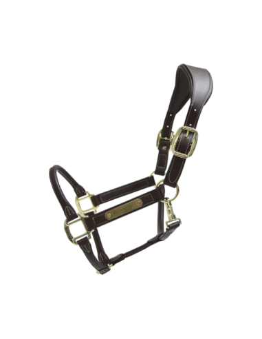 Licol anatomique en cuir Kentucky | Sellerie Sylvie Equitation