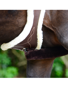 Sangle anatomique mouton Kentucky