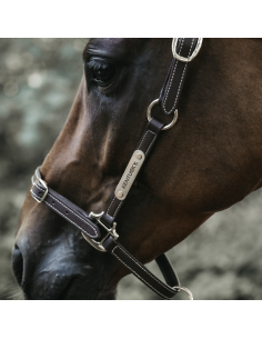 Licol en cuir flexible Kentucky | Sellerie Sylvie Equitation 2