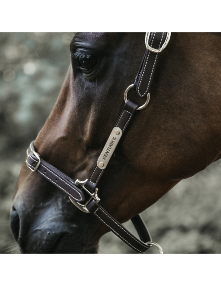 Licol en cuir flexible Kentucky | Sellerie Sylvie Equitation