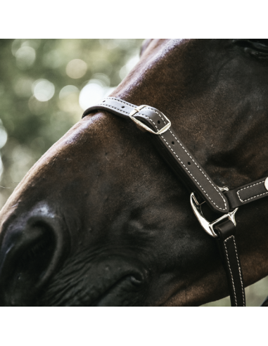 Licol en cuir flexible Kentucky | Sellerie Sylvie Equitation