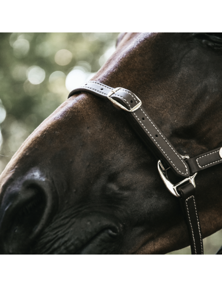 Licol en cuir flexible Kentucky | Sellerie Sylvie Equitation