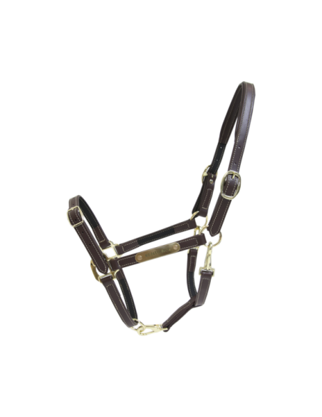 Licol en cuir flexible Kentucky | Sellerie Sylvie Equitation
