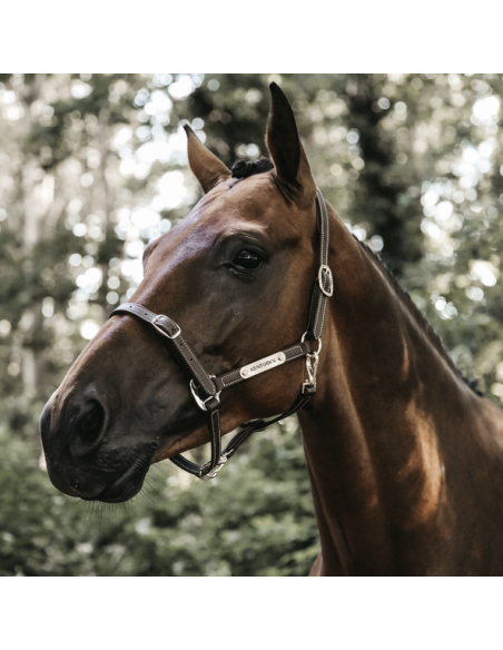 Licol en cuir flexible Kentucky | Sellerie Sylvie Equitation