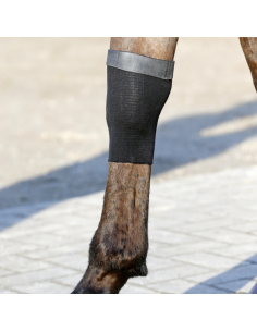 Chaussette tendon grip gel Kentucky
