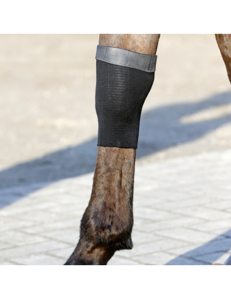 Chaussette tendon grip gel Kentucky