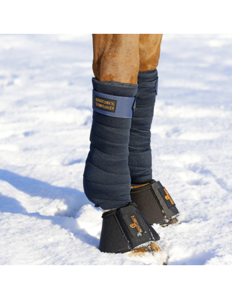 Bandes de polo élastiques Kentucky