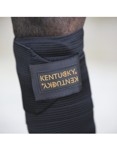 Bandes de polo élastiques Kentucky 2