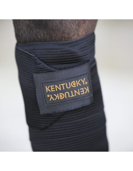 Bandes de polo élastiques Kentucky