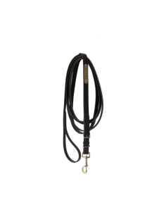 Longe pour étalon Kentucky 2