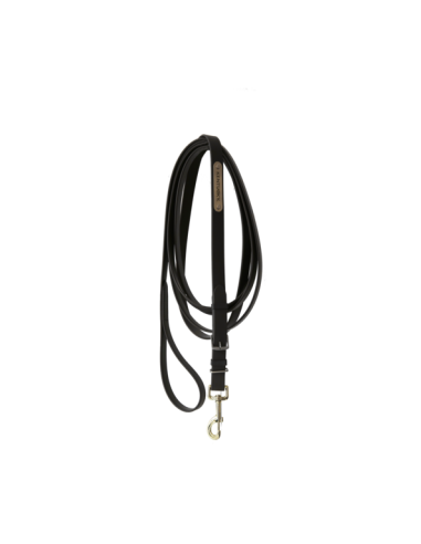 Longe pour étalon Kentucky