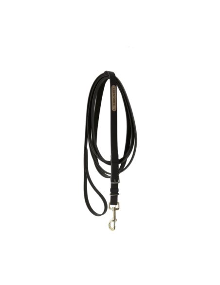 Longe pour étalon Kentucky