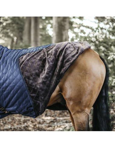 Chemise d'écurie 0g Kentucky