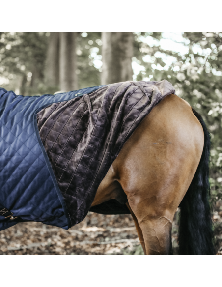 Chemise d'écurie 0g Kentucky