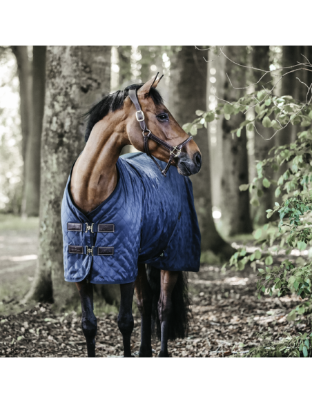 Chemise d'écurie 0g Kentucky