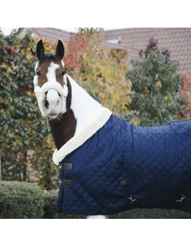 Chemise de présentation 160g Kentucky