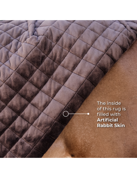 Chemise de présentation 160g Kentucky