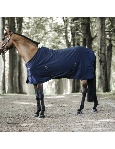 Chemise coton Kentucky